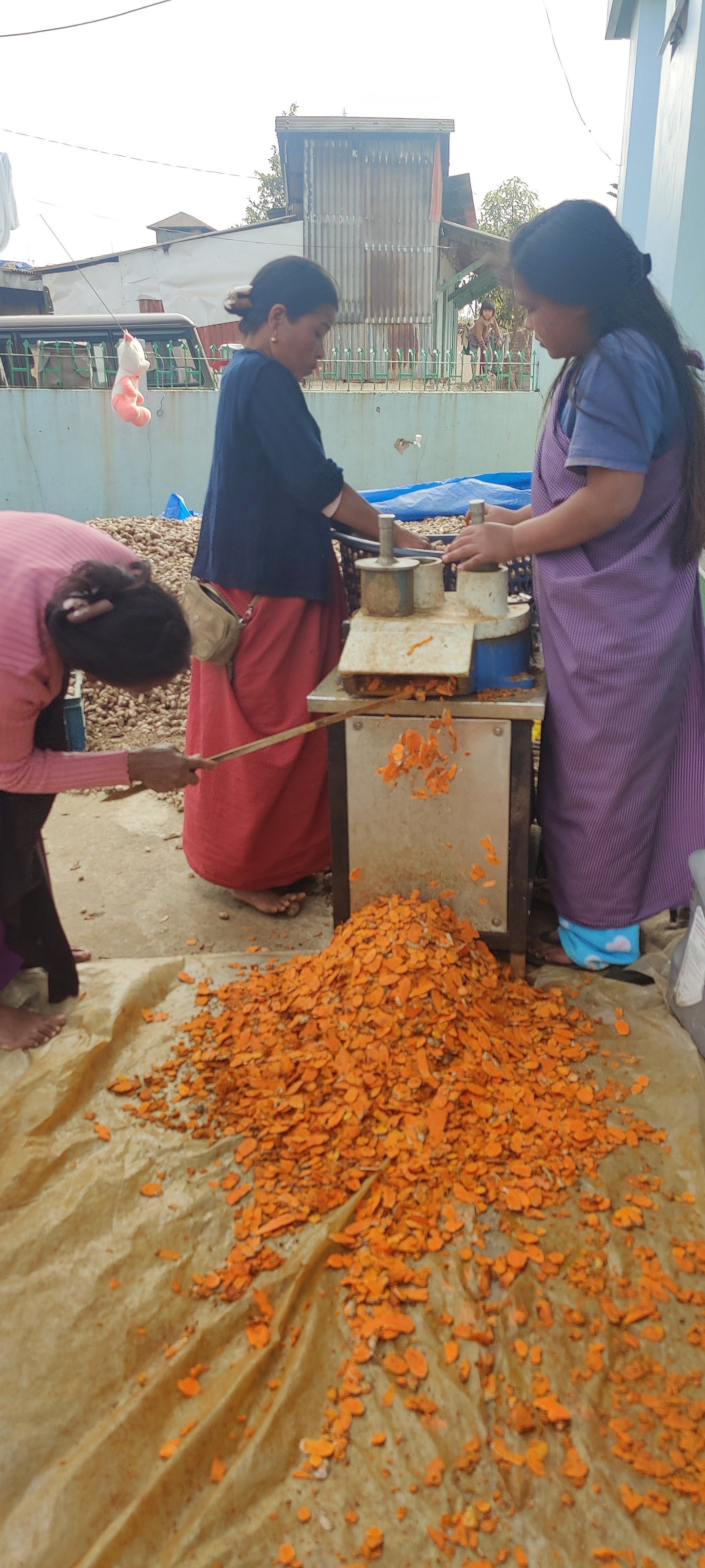 Why Lakadong Turmeric Is Different: The King of Turmeric